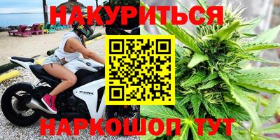 стаф Дубна