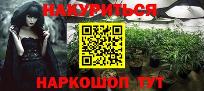 стаф Дубна
