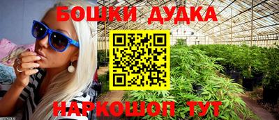 стаф Дубна