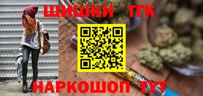 стаф Дубна